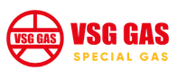Logo Vsg H1