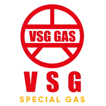 Vsg Logo Footer
