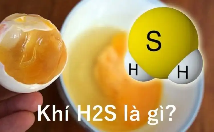 Khí H2S là gì