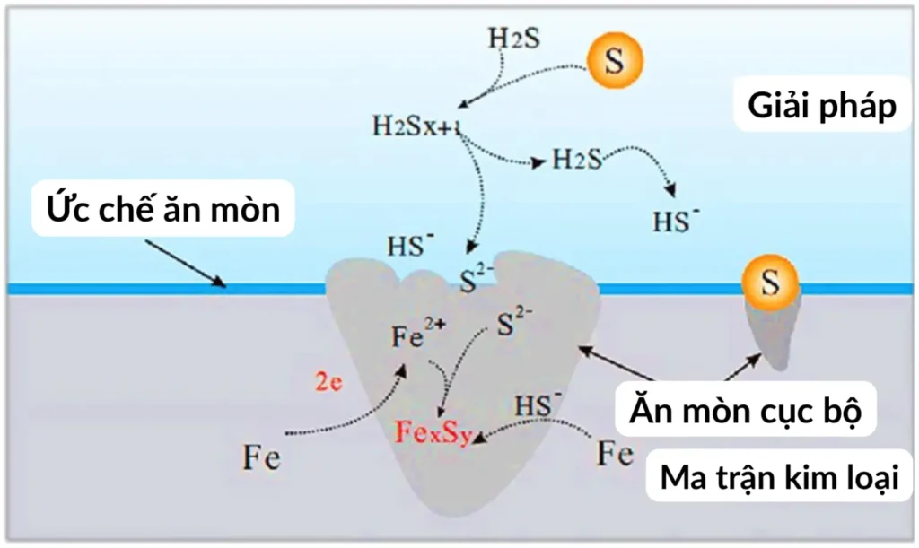 Phân Tử H2s Phản ứng Bám Dính Trực Tiếp Vào Bề Mặt Kim Loại Thô Gây Sụt Giảm Nồng độ Khi Lưu Kho.